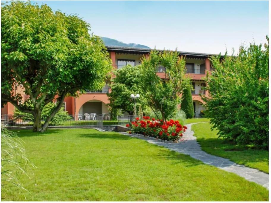 Ferienwohnung Ascona: Residenza Sabrina,App 2.5 Locali E Piscina Exterior foto